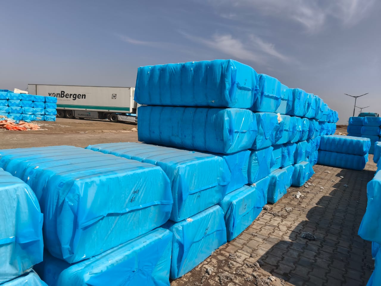 Sudanese Ginned Cotton